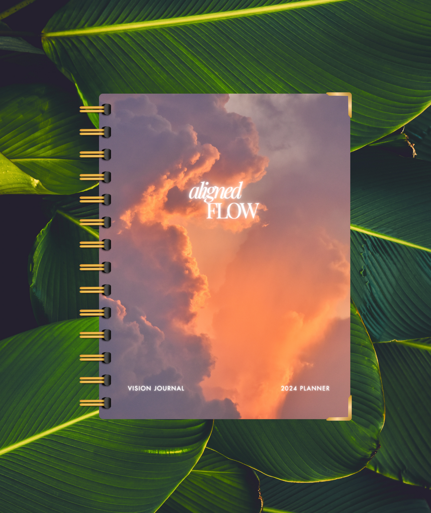 Aligned Flow Vision Journal & Planner 6-month Undated (Rebirth)